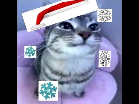 The Lightning Rod 100%!!!!!!!!!!!! // TOP 20 Stream #2