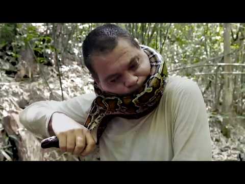 WILD FRANK'S MOST DANGEROUS MOMENTS