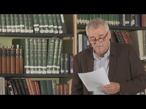 "Madrid through the Eyes of a Stranger", read by John Liddy