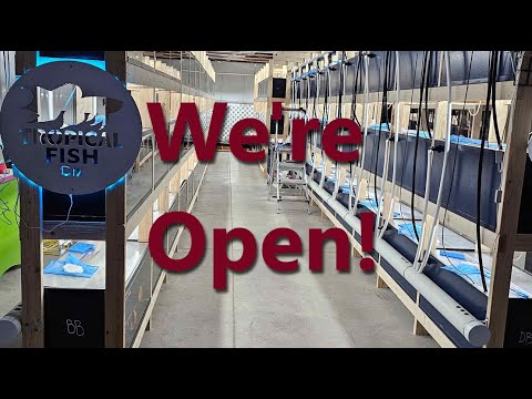 New Fish Store First Tour 2025 – Rare Eels & Exceptional Livebearers!