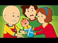Caillou And The Baby Caillou Cartoon