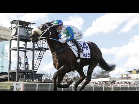 2023 TJ Smith Stakes