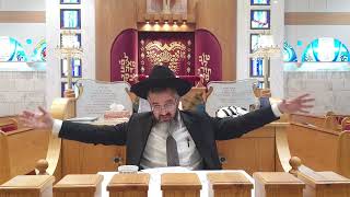 המלצה כיצד לערוך את סדר ליל שבועות!!!  הלילה והיום, מורשת אבות רעננה כ' אייר תשפ"ד