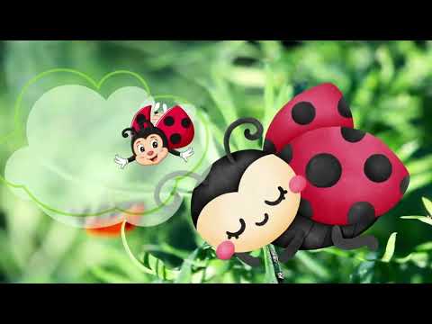 Gizem Dalgıç - Kış Uykusu