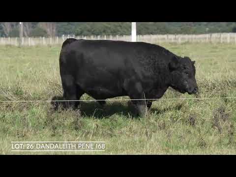 Lot 26 DANDALEITH PENE 168