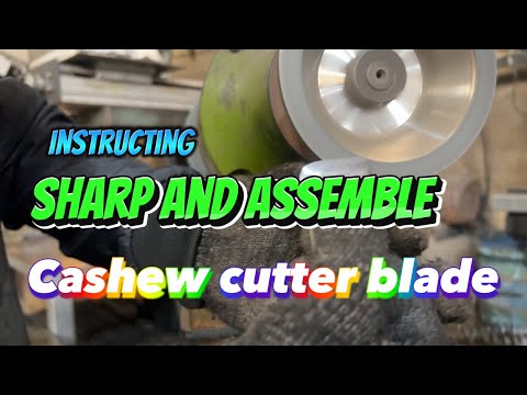 How to Sharp and Assemble Cashew Cutter Blade ? Mini Cashew Cutting Machine - Small Cashew Shelling