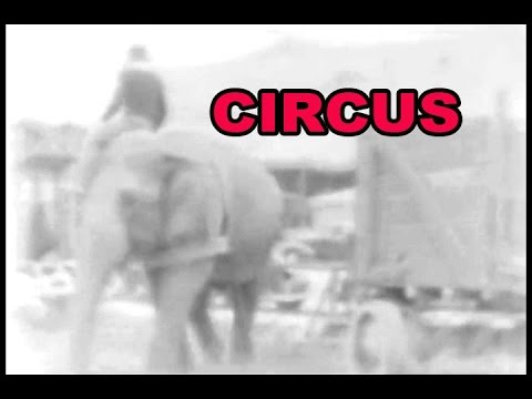 Circus
