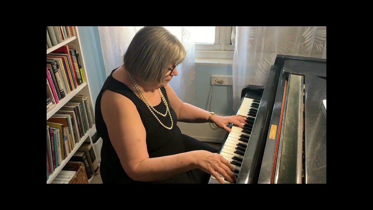 Promotional video thumbnail 2 for Denise Bruckno
