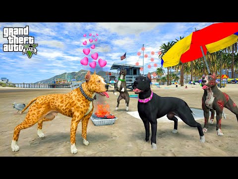 PITBULL BOYKA FALLS IN LOVE WITH TERMINATOR'S NIECE! - GTA 5