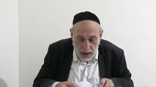 חייך קודמין ודין בני נח אינן מצווין על קידוש השם שיעור שני