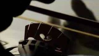 apologize (it's too late) with lyrics