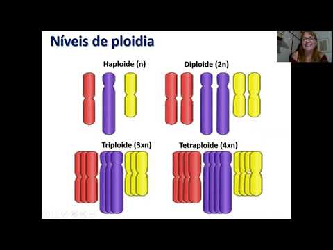 Alterações Numéricas Parte I - Euploidia