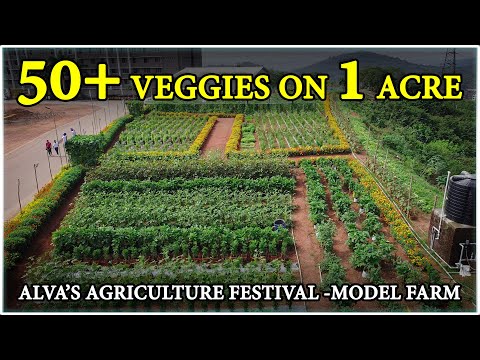 Incredible 1-Acre Vegetable Farm Using Modern Agriculture Techniques! Alva’s Virasat, Moodbidri