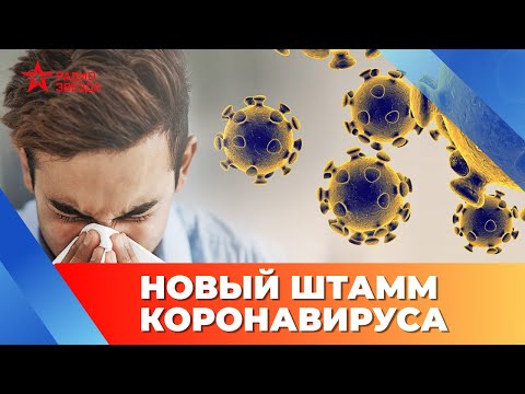Коронавирус и антибиотики. Новый штамм коронавируса