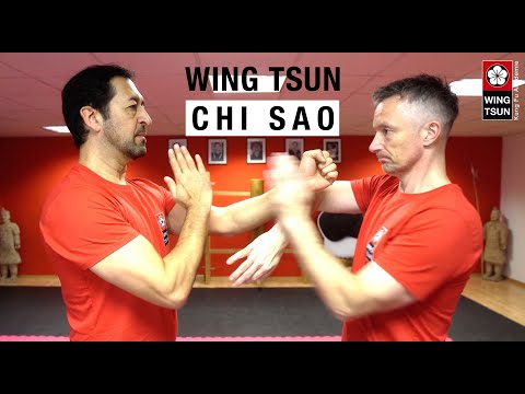 Wing Chun Chi Sao Training | Section