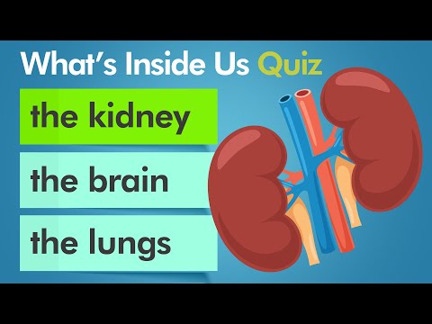 EQ English Quiz. - Whats Inside Us (Our Internal Organs) For Children