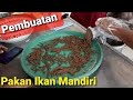 Pembuatan Pakan Ikan Mandiri Dengan Bahan Baku Lokal