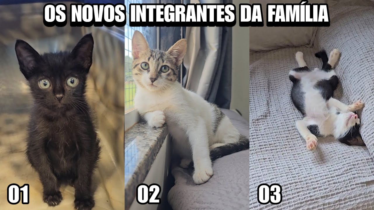 Um deles não aceitou o nome e me obrigou a mudar 🙆‍♂️