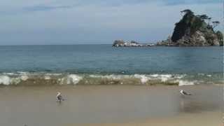 preview picture of video '真夏の海　ウミネコと波　三陸海岸　普代浜　Sanriku-coast Fudai-beach'