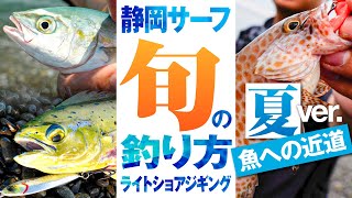 【ライトショアジギング】夏のサーフは多魚種が釣れる！ 静岡サーフの旬な釣り / 長坂隆矢