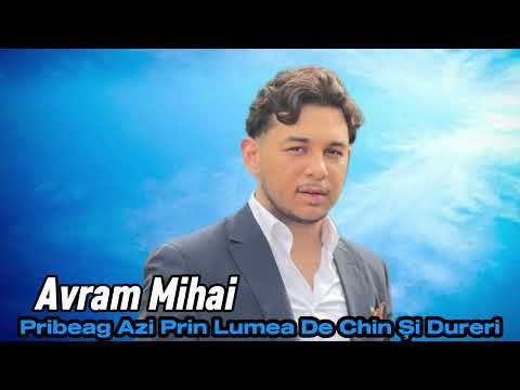 Avram Mihai - Pribeag Azi Prin Lumea De Chin Și Dureri