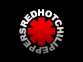 Can't Stop- Red Hot Chili Peppers OFFICIAL MUSIC ...