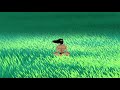 Samurai Jack Making Tea Long Version