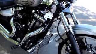 Yamaha (Star) Raider Chrome Downtube Engine Shield