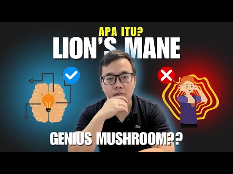 Apa itu Lion's Mane?