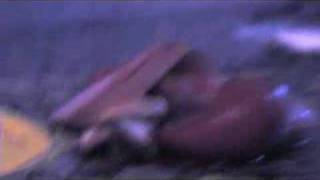 The Red Chord- Upper Decker