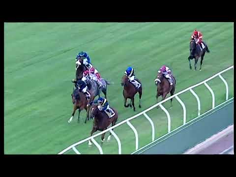 Napoli Galoppo 09/07/2022 - 7ª corsa