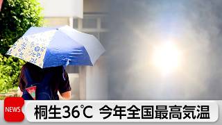 桐生36℃　今年全国最高気温