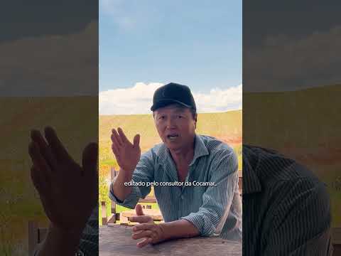 Biotrigo Titan | Depoimento - Osvaldo Yamamoto | São Sebastião da Amoreira/PR