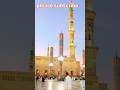 Yaha Kon Jana Chata H ️‍ Islamic Comedy Viralshorts Love Lovestatus Pakistan