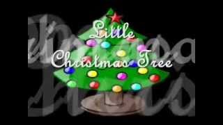 The Little Christmas Tree Music Video