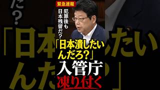 【外国人犯罪】なぜ国外退去にならなかったのか？日本保守党の北村議員と参政党の和田議員が外国人犯罪の穴を追及