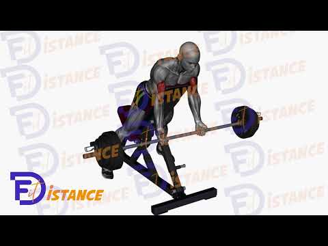 Exercice Curls Spider allongé