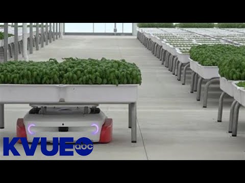Iron Ox combines robotics, hydroponics and traditional farming in new Lockhart greenhouse | KVUE