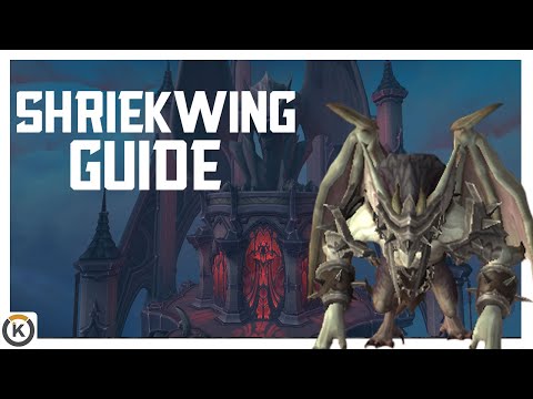 Knugens Guide to Defeat Shriekwing