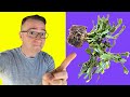 Repotting Thanksgiving Cactus! Important tips! Should you? When? How?