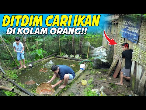 DITDIM LOOKING FOR FISH IN OTHER PEOPLE'S POND?! WHEN YOU KNOW IT, YOU GET A BIG FISH!!😱