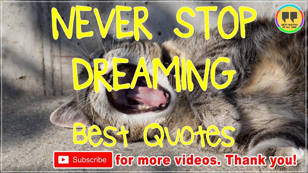 TOP 25 NEVER STOP DREAMING QUOTES - Best Dream Quotes