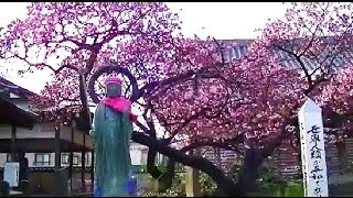 preview picture of video '總持寺（東京・足立）　真言宗　Sojiji Temple　Nishiarai daishi　西新井大師、地蔵菩薩、弘法大師、空海'