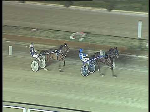 Trotto 09/01/2018 - prova di qualifica