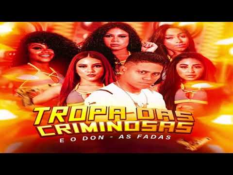 EO DON E AS FADAS - TROPA DAS CRIMINOSAS - REMIX BREGA FUNK
