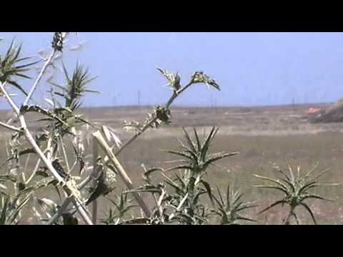 رصد مطار أبو الظهور العسكري من قبل لواء نصرة المظلوم في ريف إدلب