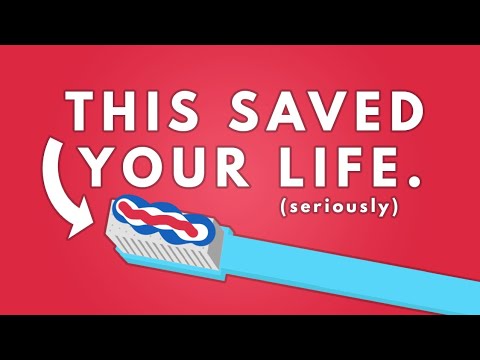 這些日常用品竟然救了你一命！ (These Everyday Items Actually Saved Your Life)
