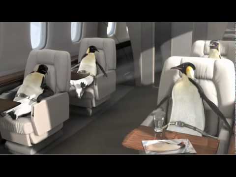 Penguins in Heaven
