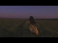 running through a field into the arms of your comfort character - 𝒂 𝒑𝒍𝒂𝒚𝒍𝒊𝒔𝒕 𝒇𝒐𝒓 𝒚/𝒏'𝒔 - nimbus running through a field into the arms of your comfort character - 𝒂 𝒑𝒍𝒂𝒚𝒍𝒊𝒔𝒕 𝒇𝒐𝒓 𝒚/𝒏'𝒔