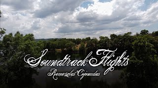 Alice in Wonderland (Danny Elfman) - Soundtrack Flights